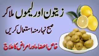 Health Benefits Of Olive Oil And Lemon Juice In Urdu  Zetoon Oil Aur Lemon Ke Fayde In UrduHindi [upl. by Starks]