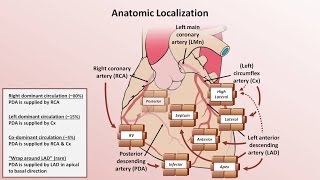 Intro to EKG Interpretation  Myocardial Infarctions Part 1 of 2 [upl. by Gintz]