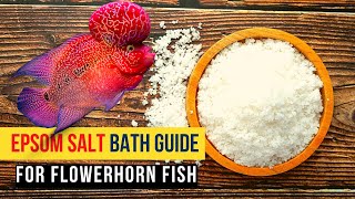 Epsom Salt Bath Guide for Flowerhorn Fish  must watch [upl. by Dyer1]