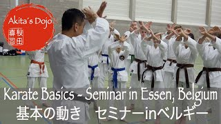 1 Karate Basics  Shotokan Seminar in Essen SKAI Belgium【Akitas Karate Video】 [upl. by Noiramed642]