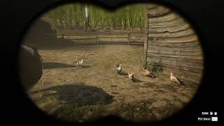 24 Java Rooster location RDR2 [upl. by Nav693]