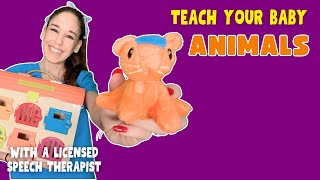 Explore Animals Adventures With Speech Therapist Michelle  Toddler Learning amp Songs For Kids [upl. by Nessie920]