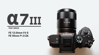 Sony A7III VIDEO TEST 1224 F4 G  55 F18 ZA [upl. by Kidd56]