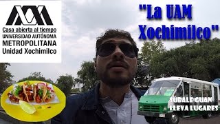 UAM Xochimilco [upl. by Prem32]