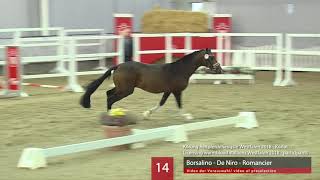 14 Hengst v Borsalino  De Niro  Romancier [upl. by Cash]