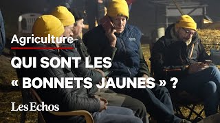 Pourquoi commenceton à surnommer les agriculteurs en colère les « bonnets jaunes » [upl. by Dorcia]