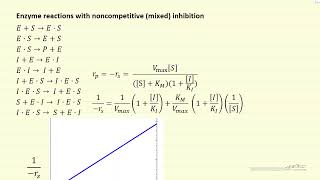 Lineweaver Burke plots for Michaelis Menten Enzyme Kinetics [upl. by Krista807]