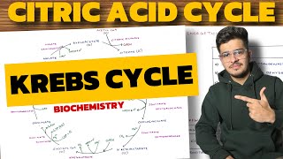 Krebs Cycle Biochemistry  Citric Acid Cycle  TCA Cycle [upl. by Pillow]