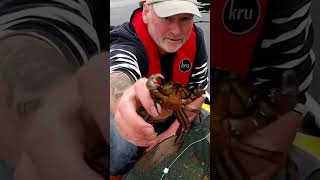 Creel fishing on an inflatable boat SIb Loch Fyne My Dingy and Me [upl. by Elttil453]