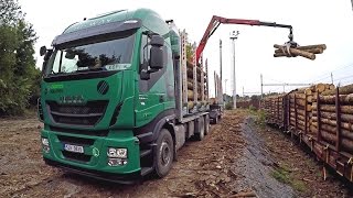 Timbertruck Iveco Stralis with Doll trailer [upl. by Middlesworth]