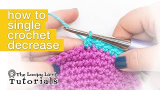 How to Single Crochet Decrease Stitch  Beginners Crochet Stitch Tutorials [upl. by Leehar498]