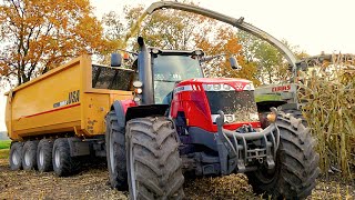 Mais hakselen Van Bakel Dairy 2015  Claas Jaguar 980 MF 8737 MF 8670 CAT 966M USA Equipment [upl. by Berti]