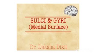 SULCI amp GYRI MEDIAL SURFACE [upl. by Britteny216]