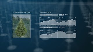 Treelings Хэрхэн модыг тоолж бүртгэдэг вэ [upl. by Dorita]