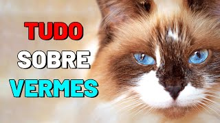 VERMES em gatos TUDO sobre gato com vermes  Gatil Hauser [upl. by Erena]