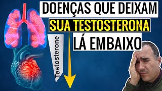 Doenças que diminuem seus NÍVEIS DE TESTOSTERONA [upl. by Anne]