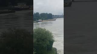 SHORTS TECHNOLOGY 20 57 Flooding of the Rhine near Basel Switzerland June 2st 2024 [upl. by Oile]