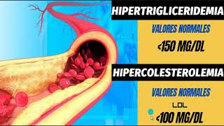 FENOFIBRATO🟨 COMO BAJAR COLESTEROL Y TRIGLICERIDOS ALTOS🚨🚨 ✔ TODO LO QUE DEBES SABER [upl. by Alvis]