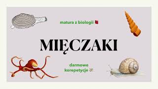 26 Mięczaki  małże ślimaki głowonogi  budowa charakterystyka 📕 biologia rozszerzona do matury [upl. by Aidualk]