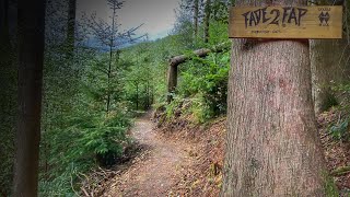 A New Mountain Bike Track at Cwmcarn [upl. by Xuagram]