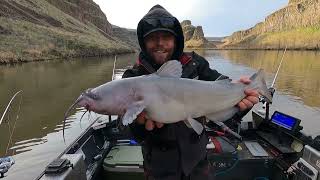 Palouse River catfish [upl. by French]