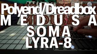 MONOPHONIC  PolyendDreadbox MEDUSA  Soma LYRA8  Ambient Impro  NO FX [upl. by Yesrod]