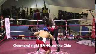 David Haye vs Deontay Wilder [upl. by Sixla]