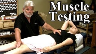 Improve Athletic Performance Pain Referral Muscle Testing Demonstration by Austin Chiropractor [upl. by Yrakaz]