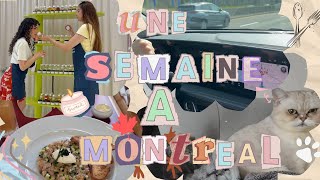 Une semaine avec moi à Montréal 🎀🕯️🐶✨🍁 [upl. by Sisco]