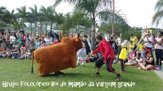 Boi de mamão da vargem grande  apresentação completa [upl. by Alysoun860]