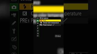 Nikon Settings for Photography “Photo Shooting Menu” फोटो शूटिंग मेनू  in Detail [upl. by Ahcsropal476]