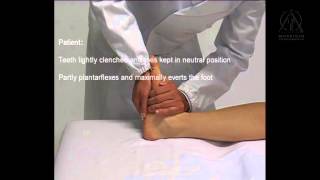 Applied Kinesiology  Manual Muscle Testing Peroneus Longus [upl. by Porche446]