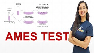 AMES TEST I Carcinogenic I Mutagenicity I CSIR NET I GATE I IITJAM I TIFR I GAT B I ICAR I ICMR I [upl. by Lamoree740]