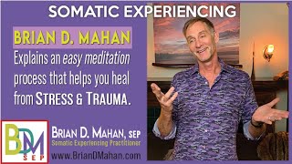 Somatic Experiencing Easy Meditation w Brian Mahan Stress amp Trauma Specialist [upl. by Edd747]