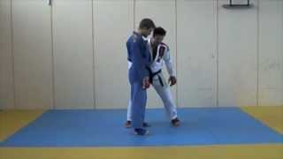 Lesson 3  Tani Otoshi  JiuJitsu Fighting Lesson JJIF Advanced Part 2 [upl. by Evangelin]