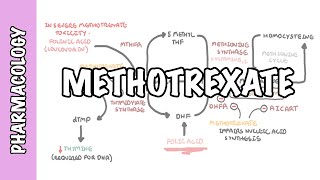 Methotrexate  Pharmacology DMARDs mechanism of action side effects [upl. by Bryanty528]