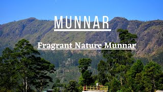 FRAGRANT NATURE MUNNAR Luxury 5 star Hotel in Munnar Wild Orchid Suite Room Blissful Reels [upl. by Cassi188]