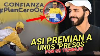 😱 Así premiaron a los REOS En pleno estadio Mágico Gonzales 😱 Por trabajar para nuestro el país [upl. by Mahsih906]