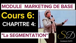 Module MarketingquotLa Segmentation quotStratégies MarketingNiche MarketingPersona clientClientèle [upl. by Suzie]