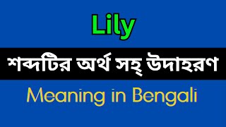 Lily Meaning in BengaliLily Mane Ki Lily Explain in Bengali [upl. by Keavy]