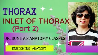 Inlet of Thorax Part 2 [upl. by Guilbert]