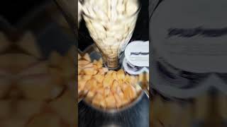 Tasty 😋 Muskmelon Shake in minutes muskmelon shakes juice melon shorts shortvideo [upl. by Nnylyram355]