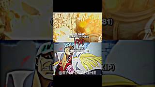 Akainu vs Old Garp Chapter 1081 [upl. by Kolva291]