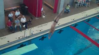 SCAC Swimming and Diving Championships Mens 3Meter Divingwmv [upl. by Enelrae592]