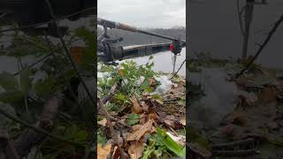 CARPFISHING  Carp Run in the winter  winter carpfishing fishing [upl. by Odelet]