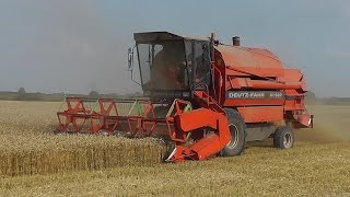 Mähdrescher DeutzFahr M1322 Weizenernte bei Meldorf [upl. by Ydnik693]