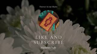 Hadeess hub intro video [upl. by Stacia]