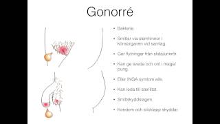 Könssjukdomar  del 1 [upl. by Rosenquist374]
