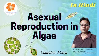 Asexual Reproduction in Algae  Zoospores  Aplanospores  Hypnospores  Akinetes  Hyterocyst [upl. by Enelahs]