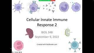 Immunology Fall 2022 Lecture 5 Cellular Innate Immunity 2 [upl. by Sibylle]